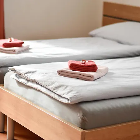 Heidi Apartment Saas-Fee